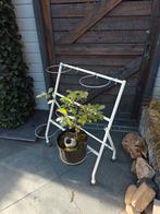 Bloemenrek / Plantenrek - Wit Metaal, Ophalen, Tuin, Minder dan 60 cm, Zo goed als nieuw