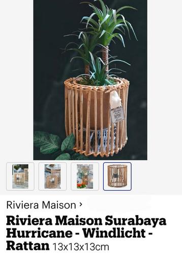 DIVERSE RIVIÈRA MAISON ASSCOIRES  beschikbaar voor biedingen