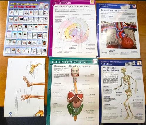Verzameling Uitgeverij Atlas ontdek het menselijk lichaam, Boeken, Gezondheid, Dieet en Voeding, Ophalen of Verzenden