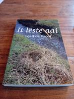 It leste aai Gjalt de Groot en De jonge aaisiker p, Boeken, Ophalen of Verzenden, Zo goed als nieuw