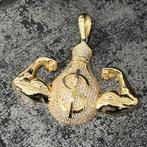 14k gouden hanger prachtig model dollar model