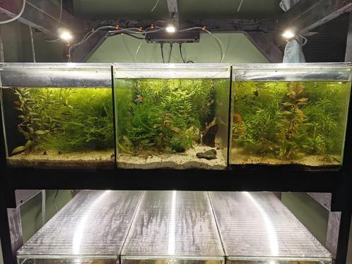 Diverse aquaria 115x65x35 (drievak en enkelvak), Dieren en Toebehoren, Vissen | Aquaria en Toebehoren, Gebruikt, Leeg aquarium