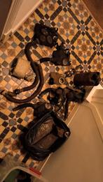 10 WW2 gasmaskers, Ophalen of Verzenden