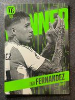 Panini Top Class 2025   WINNER   ENZO FERNÁNDEZ   ARGENTINA, Ophalen of Verzenden, Zo goed als nieuw, Plaatje