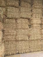 Kleine hooi baaltjes te koop!, Dieren en Toebehoren, Dierenvoeding, Ophalen