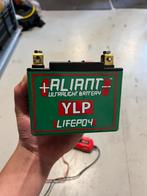 Aliant ultralight battery YLP LIFEPO4 12V 14Ah
