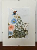 Aquarel schildering vogel en bloemen, Ophalen
