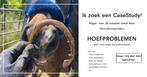 Hoefprobleem gezocht - Bekapper aangeboden, Dieren en Toebehoren, Ophalen, Nieuw, Overige soorten