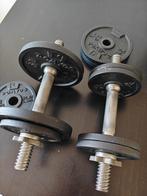 Dumbbell set (2*10kg), Ophalen, Zo goed als nieuw, Dumbbell