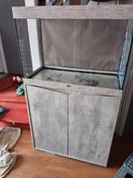 Zeer compleet aquarium, 80 cm breed, meubel, nu 150 euro, Ophalen, Zo goed als nieuw, Leeg aquarium