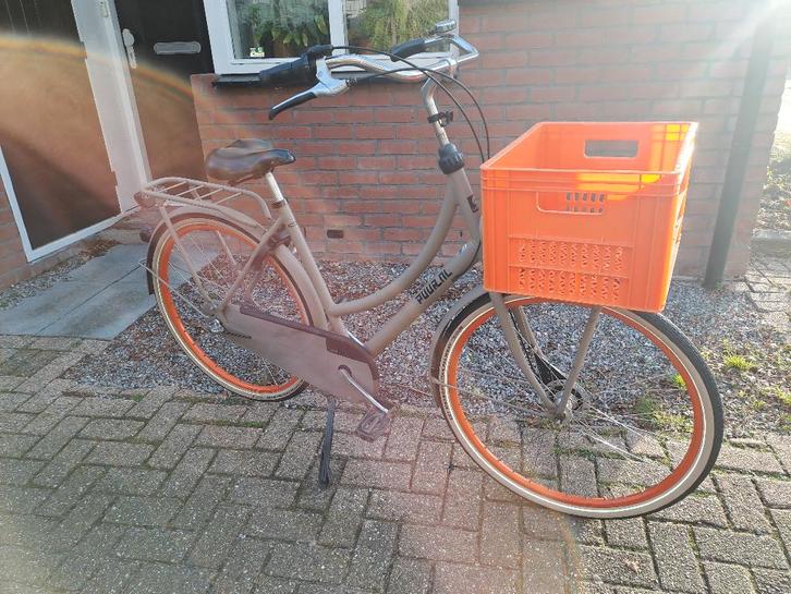 Gazelle Puur NL, izgst!!! 54cm nexus 3 Terugtrap-Rem Roll br, Fietsen en Brommers, Fietsen | Dames | Damesfietsen, Zo goed als nieuw