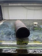 Legholen L nummers, Dieren en Toebehoren, Ophalen of Verzenden, Gebruikt