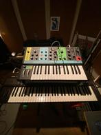 Moog Grandmother Synth, Muziek en Instrumenten, Gebruikt, Overige aantallen, Met midi-aansluiting, Ophalen