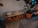 Terrarium/Cavia Hok - Mahonie Hout & Glas - 180x50x90cm, Gebruikt, Glas, Ophalen of Verzenden, 150 tot 200 cm