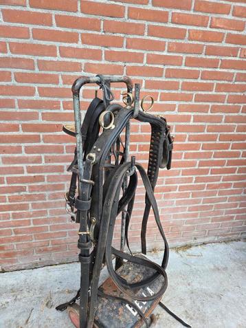 Tekoop: Enkelspan Tuig Full  beschikbaar voor biedingen