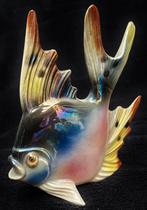 Schitterend beeld, kleurrijke TROPISCHE VIS Jema Holland 390, Ophalen of Verzenden, Gebruikt, Dier