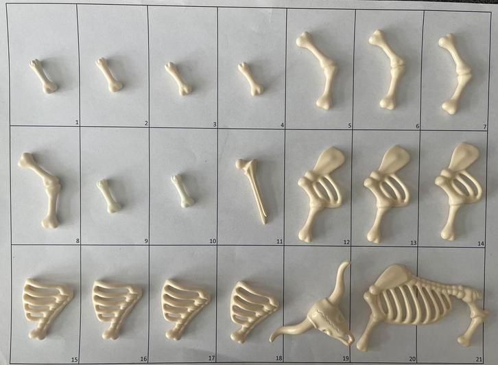 Botten en delen van skeletten, Kinderen en Baby's, Speelgoed | Playmobil, Los playmobil, Ophalen of Verzenden