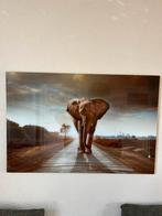Olifant op glasplaat 80x120 cm, Huis en Inrichting, Woonaccessoires | Lijsten, Ophalen of Verzenden