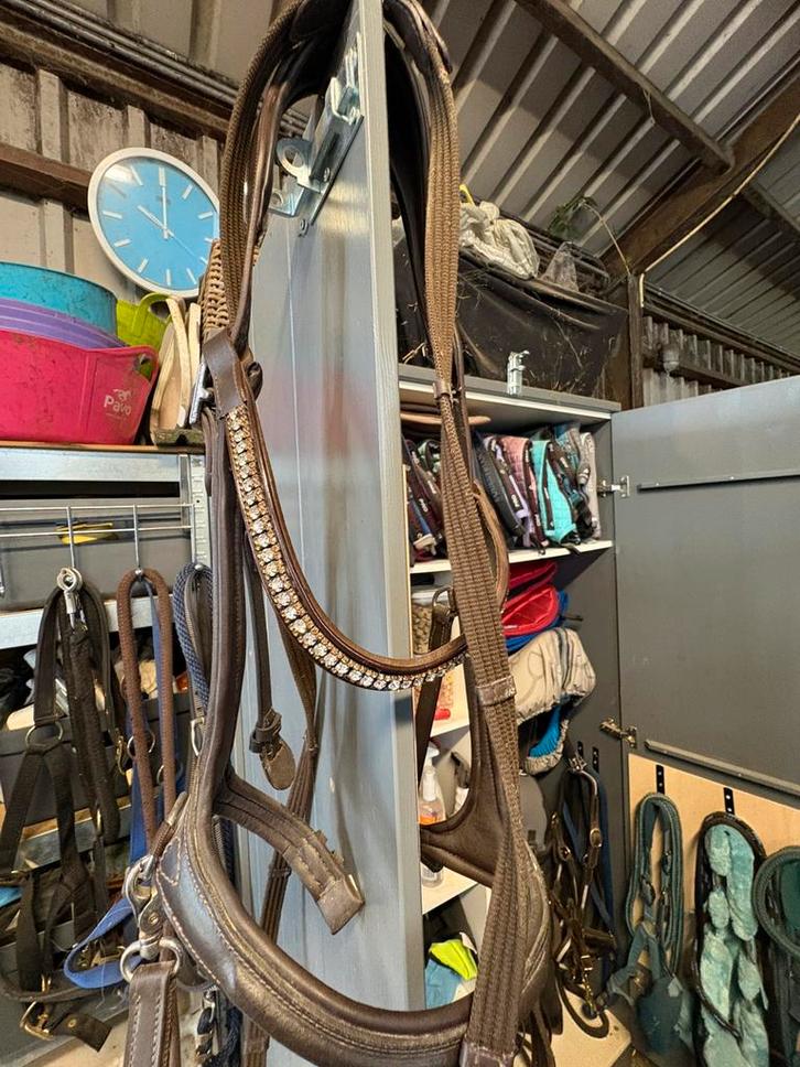 nieuwe Bitloos Hoofdstel Free Horse FHLibertas full Bruin, Dieren en Toebehoren, Paarden en Pony's | Hoofdstellen en Tuigage, Nieuw