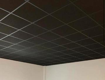 Systeemplafond vanaf €17,— inclusief montage. beschikbaar voor biedingen