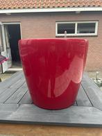 Lechuza Rode Plantenbak incl bewateringssysteem- 42cm, Ophalen, Kunststof, 40 cm of meer, Rond