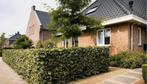 Beukenhaag, Tuin en Terras, Planten | Struiken en Hagen, Ophalen of Verzenden, Beukenhaag, 100 tot 250 cm
