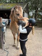 Gezocht verzorgpaard/pony, bijrijder aangeboden, Ophalen
