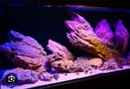 Gezocht Aquarium 150-200cm, Ophalen, Gebruikt, Leeg aquarium