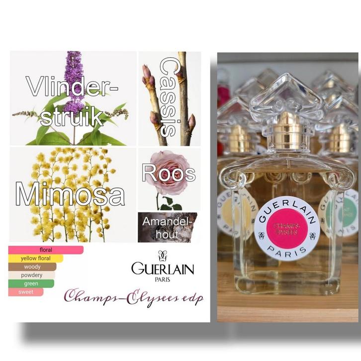 Decant Sample · Guerlain · Champs Elysees · EDP, Sieraden, Tassen en Uiterlijk, Uiterlijk | Parfum, Nieuw, Verzenden