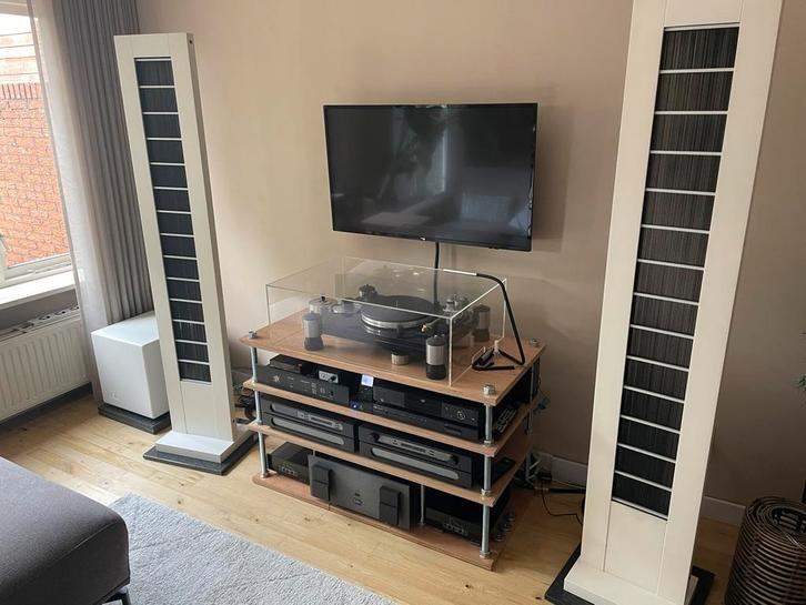 Audiostatic ES 100 met REL Q50 luidspreker set., Audio, Tv en Foto, Luidsprekers, Gebruikt, Front, Rear of Stereo speakers, Minder dan 60 watt