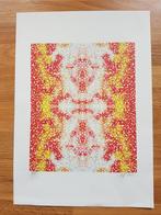 Grafische Printdruk, symmetrische DOT structuren, gesigneerd, Ophalen of Verzenden
