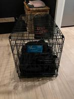 Alles voor een klein hondje als nieuw, Ophalen of Verzenden, Zo goed als nieuw, 110 cm of meer, Minder dan 65 cm