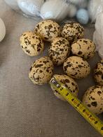 Ca 90 plastic paas eieren, Diversen, Pasen, Ophalen, Nieuw