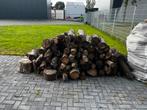 3m3: Stammen haardhout/gekloofd hout 1 partij van alles wat., Tuin en Terras, 3 tot 6 m³, Ophalen, Overige houtsoorten, Stammen