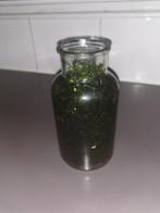 Gratis met mos gevuld voor een reep chocolade, Ophalen, Zo goed als nieuw, Plant(en), Steen of Hout