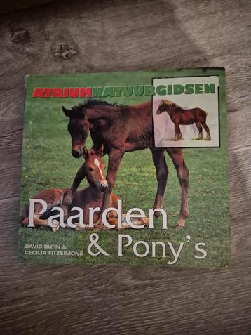 Paarden en Pony's - Atrium Natuurgidsen beschikbaar voor biedingen