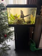 Aquarium met onderkast en pomp. Afm. 60 x 30 cm, Dieren en Toebehoren, Vissen | Aquaria en Toebehoren, Ophalen, Gebruikt, Leeg aquarium