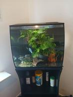 Complete aquarium, Dieren en Toebehoren, Vissen | Aquaria en Toebehoren, Ophalen, Zo goed als nieuw, Leeg aquarium