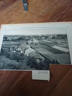 Knipsel panorama Castricum 1931, Ophalen of Verzenden, 1920 tot 1940, Knipsel(s)