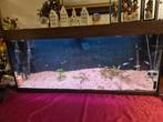 Aquarium 120x40x50 cm, Ophalen, Gebruikt, Gevuld zoetwateraquarium