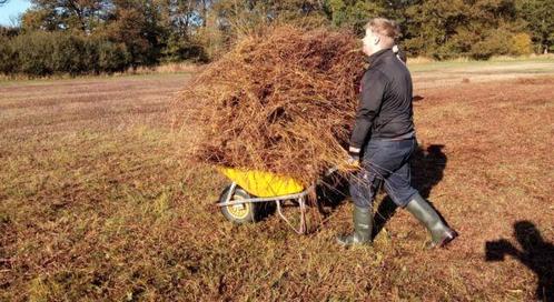 Hulpje gezocht voor buitenwerk, Diensten en Vakmensen, Klussers en Klusbedrijven