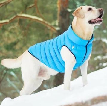 AiryVest Versatile Hondenjas Omkeerbaar M40 Black-Blue -50%! beschikbaar voor biedingen