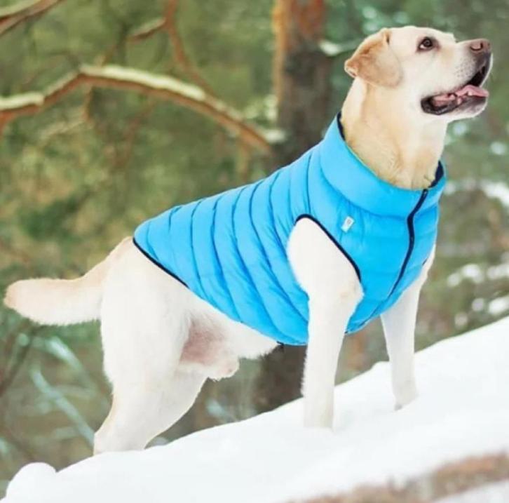 AiryVest Versatile Hondenjas Omkeerbaar M40 Black-Blue -50%!, Dieren en Toebehoren, Hondenkleding, Nieuw, Hondenjas, Ophalen of Verzenden