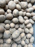 Frieslander aardappels, Ophalen of Verzenden