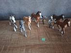 schleich veulens (s), Ophalen of Verzenden, Zo goed als nieuw, Paard, Beeldje of Figuurtje
