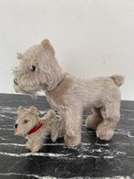 Steiff hond met knop H32xL32 cm, Ophalen of Verzenden