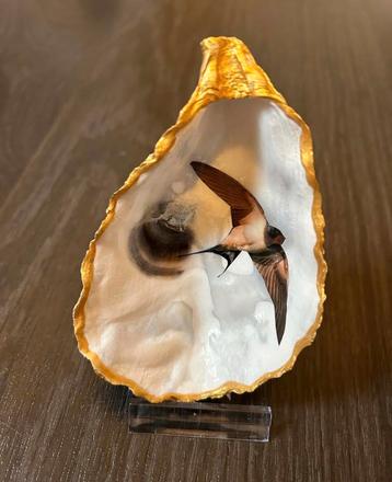 Zwaluw merel ijsvogel specht alles kan ik voor je maken beschikbaar voor biedingen