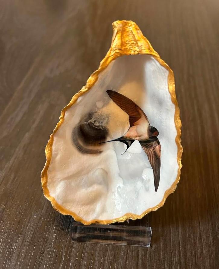 Zwaluw merel ijsvogel specht alles kan ik voor je maken, Verzamelen, Overige Verzamelen, Nieuw, Ophalen of Verzenden
