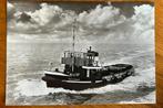 Philip R Goedkoop sleepboot ansichtkaart, Ophalen of Verzenden, 1960 tot 1980, Ongelopen, Voertuig