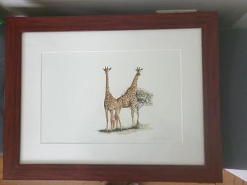 Sue Dickinson, kunstdruk van een origineel aquarelschilderij beschikbaar voor biedingen